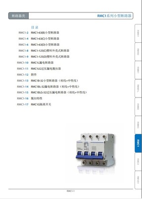 正品【上海上聯】RMC1-63 D16A/2P系列小型斷路器 優質供應與產品圖片詳解